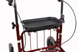 Tray 10651
